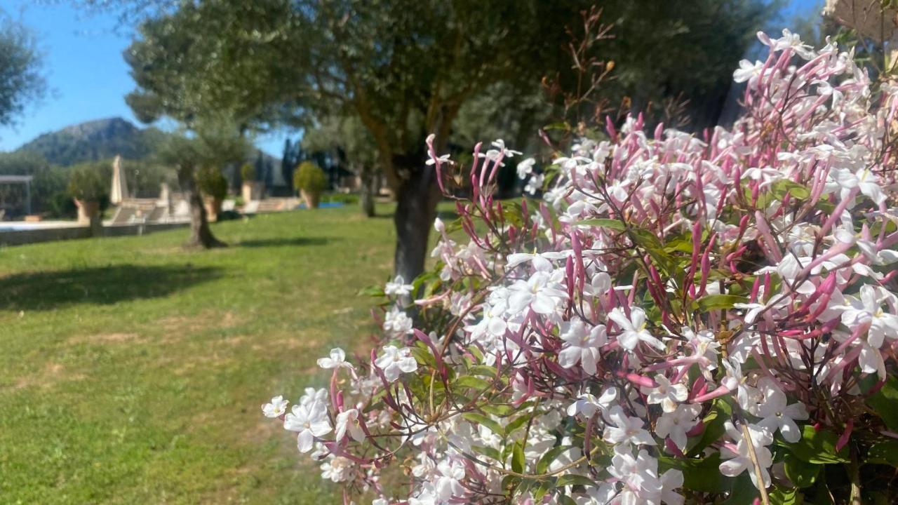 Agroturisme Son Cardaix Арта Экстерьер фото